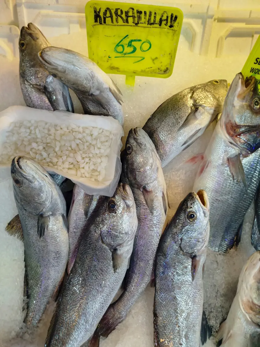 ŞİFALI OLDUĞUNA İNANILIYOR 3