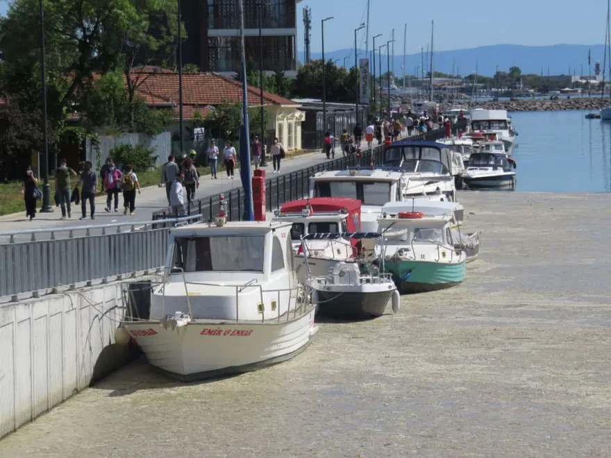 İstanbul'da Kurbağalıdere'yi de deniz salyası kapladı 12 İstanbul'da Kurbağalıdere'yi de deniz salyası kapladı 12