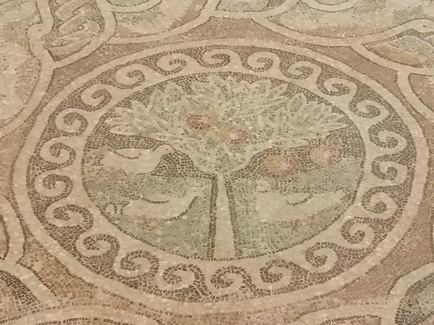 1800 yıllık elma mozaiği sergilenmeye başladı 7 1800 yıllık elma mozaiği sergilenmeye başladı 7