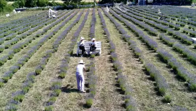 2 ayrı köyde kurdular: Kent turizmine renk kattı