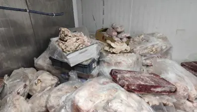 Bozuk et operasyonu: Kilolarca ele geçirildi, 3 işletme kapatıldı
