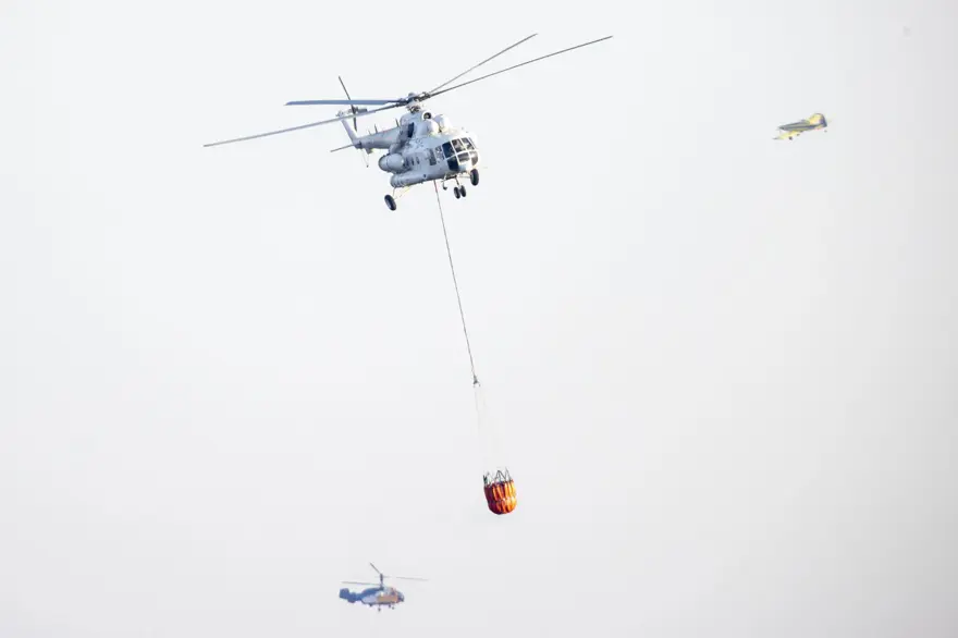 Cumhurbaşkanı Erdoğan: Marmaris'teki orman yangını büyük oranda kontrol altında 4