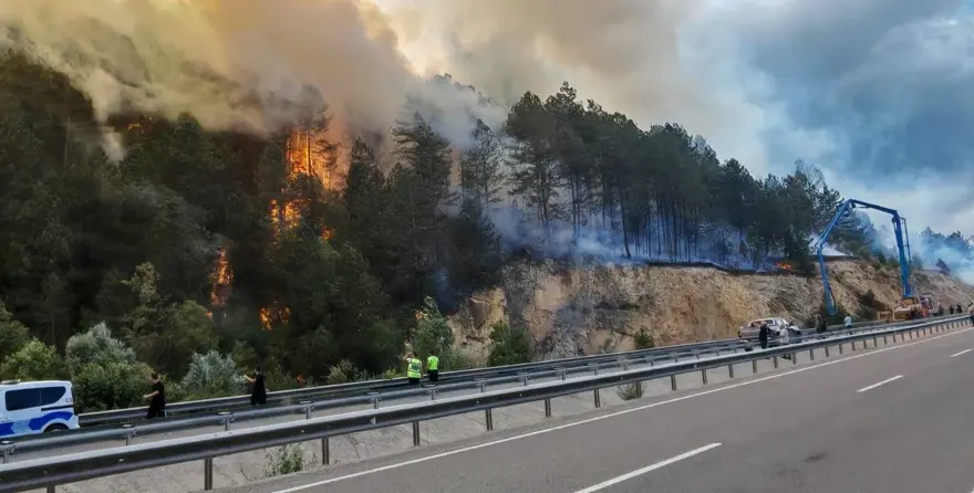 Bolu'da orman yangını: Kontrol altına alındı 3