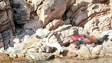 Bodrum'da can yelekli ceset bulundu