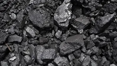 Kömür düşüşe geçti
