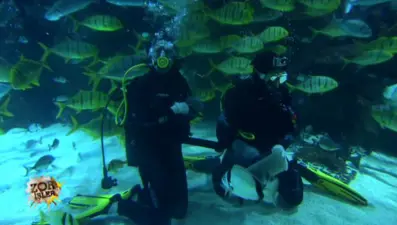 Zor İşler 28. Bölüm