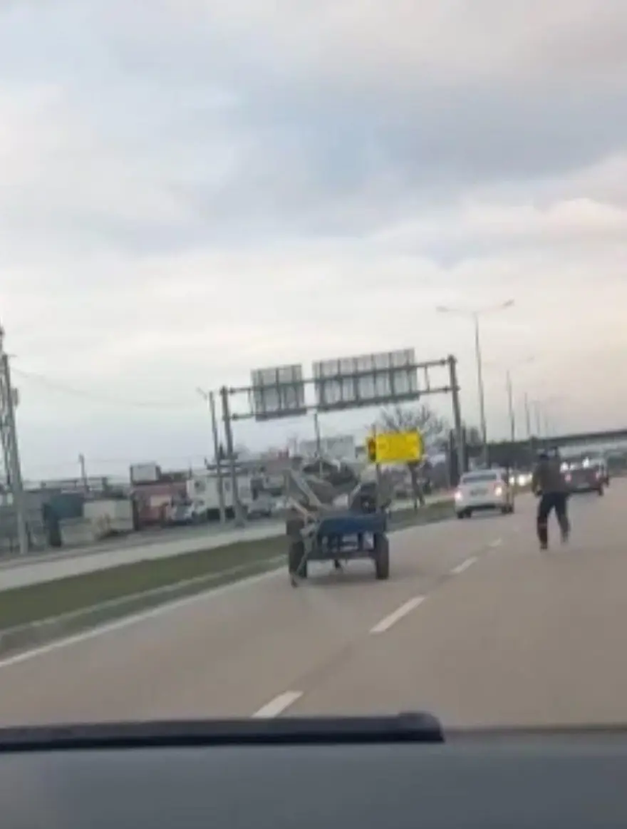 İnsansız at arabası trafiği alt üst etti 4