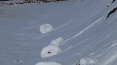 İnsan yapımı değil! Dünyada ender rastlanan doğa olayı Amasya'da görüldü