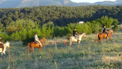 Turizmin yeni gözdesi 'Atlı Safari'
