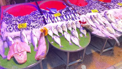 Tezgahlara bereket getirdi: Sezon hareketli başladı