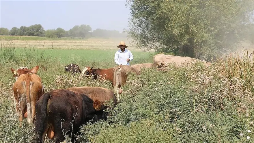 Çiftçiler Günü mesajları 2024: Yeni, en güzel, anlamlı, kısa ve uzun 14 Mayıs Dünya Çiftçiler Günü mesajları ve sözleri 5