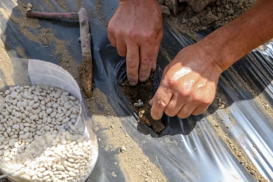 ÜRETİMİ 15 KAT ARTTI 2