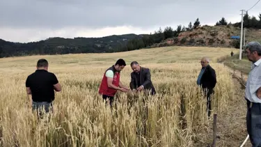 Dolunun vurduğu Muğla'da hasar tespit çalışması