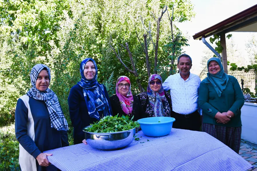 Taze naneden üretiliyor, 1 kaşığı nefes açıyor: Şişesi 200 lira 2