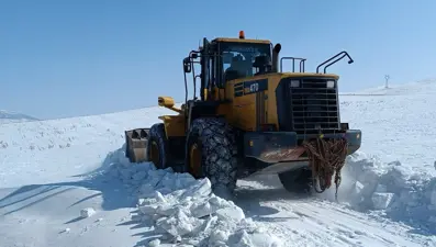 Van'da 264 yerleşim yeri ulaşıma kapandı
