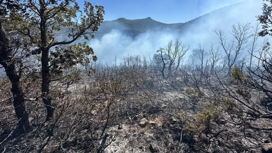 Antalya, Çanakkale ve Konya'da orman yangını Antalya, Çanakkale ve Konya'da orman yangını