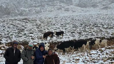 Kar yağınca yaylada mahsur kalan kadını komşuları kurtardı