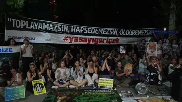 Ankara'da sokak hayvanları yasa teklifi protesto edildi