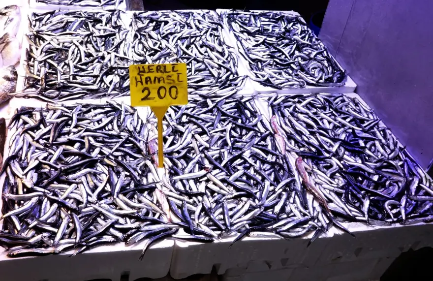 Balıkçılar, "Vira bismillah" diyerek denize açıldı: Tezgahtaki bolluk sürüyor 5