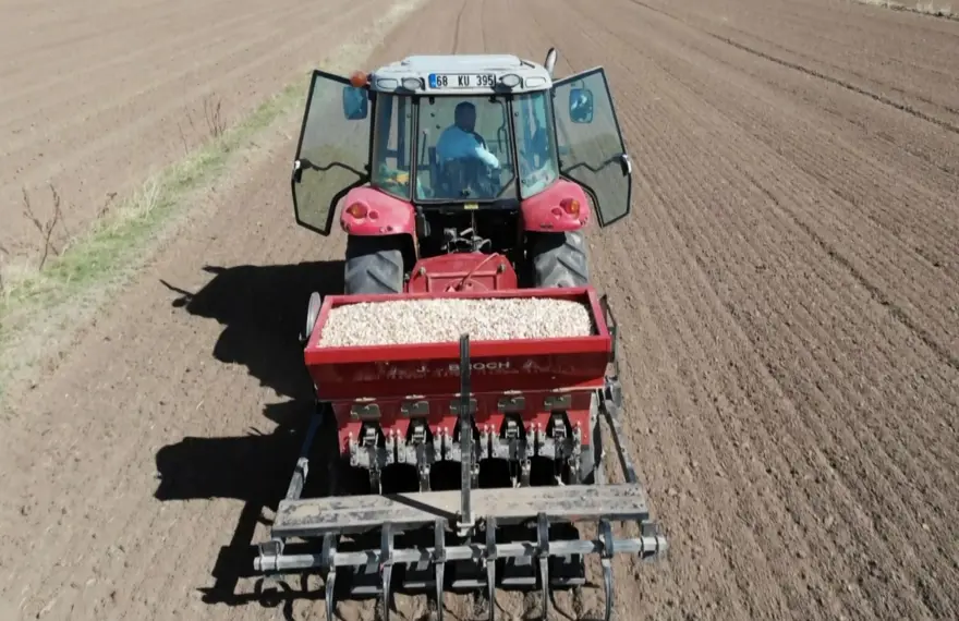 Yurt dışında antibiyotik fabrikalarında kullanılıyor: Aksaray'da ekimi başladı 2 Yurt dışında antibiyotik fabrikalarında kullanılıyor: Aksaray'da ekimi başladı 2