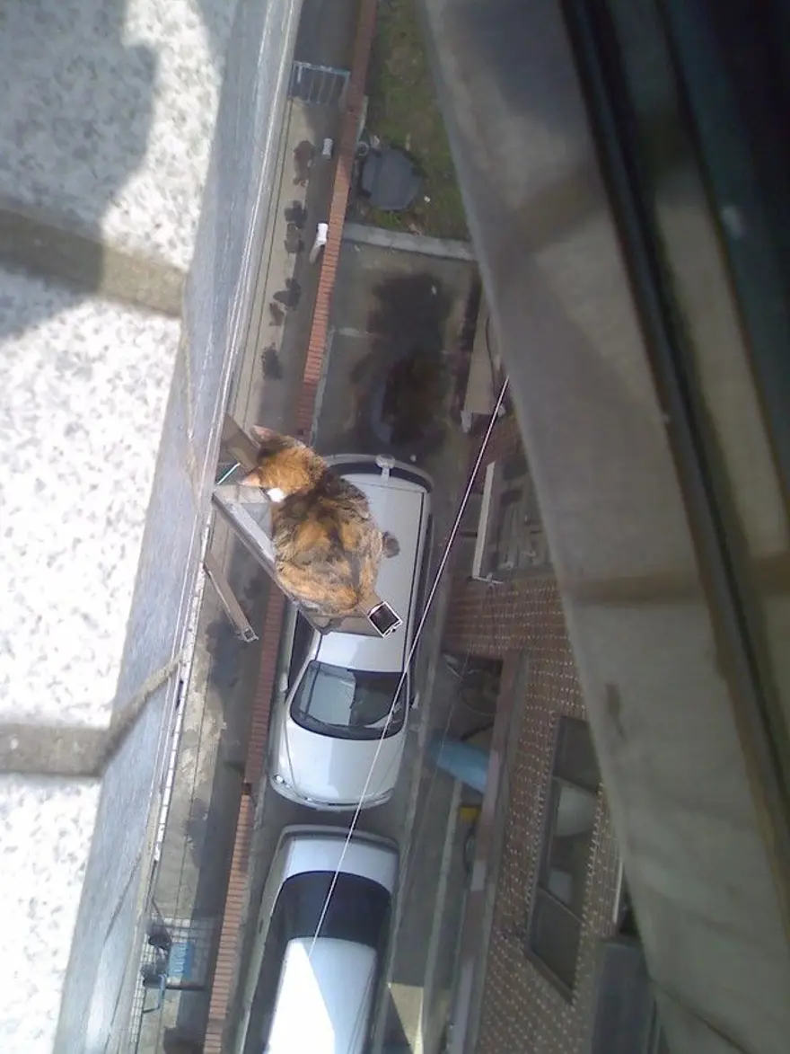 İnternetin yeni fenomenleri 116