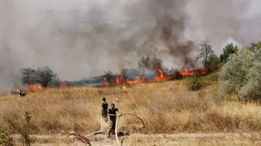 İstanbul'da orman yangını