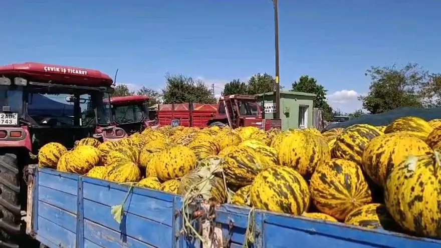 Yüz yıllık aynı tat: Kilosu 15 liraya satılıyor 4