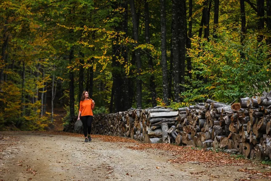 Doğa ve fotoğraf tutkunları, sonbahar renklerine bürünen Domaniç'te buluştu 7