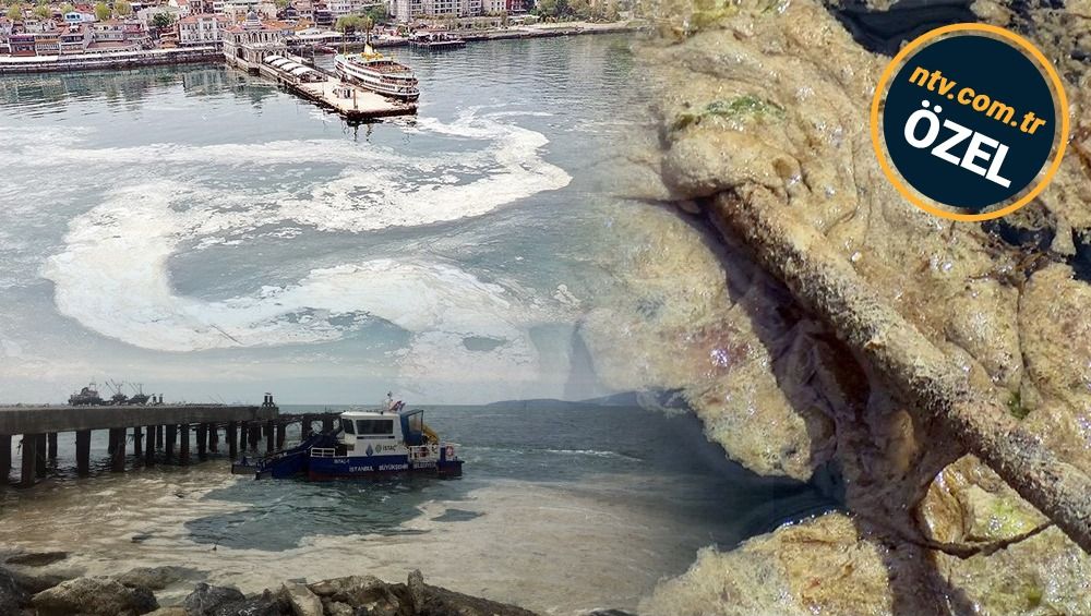 Marmara Denizi'nde müsilaj sorunu: Eylem planında neler yer almalı?