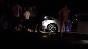 Van'da otomobil sürüye çarptı: 8 koyun telef oldu