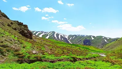 Yeşil ve beyazın buluştuğu Şırnak yaylalarında bahar şöleni