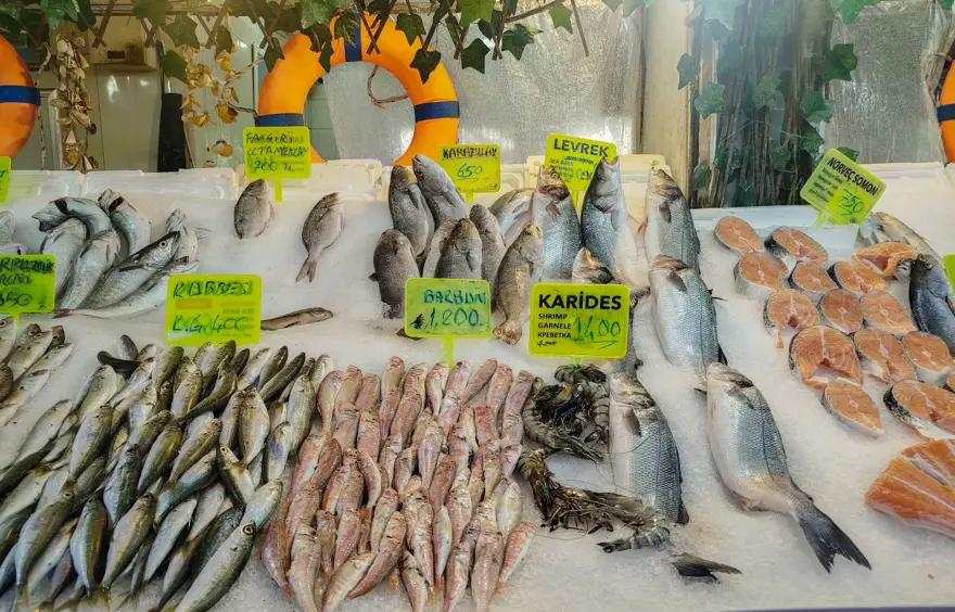 Kilosu 650 lira, başındaki taş 10 bin lira: Şifalı olduğuna inanılıyor 1