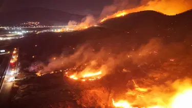 Aliağa'daki orman yangınına neden olan şüpheli tutuklandı