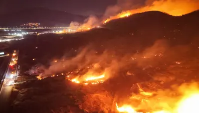 Aliağa'daki orman yangınına neden olan şüpheli tutuklandı