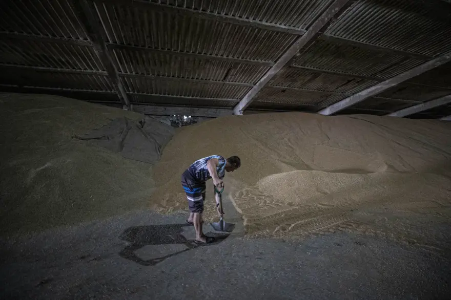 Tahıl gemilerinin limanlardan çıkışını bekleyen Ukraynalı çiftçilerden Türkiye'ye teşekkür 6