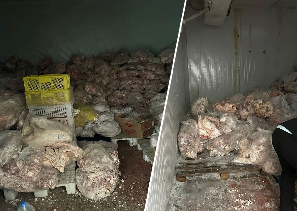 Gıda deposunda mide bulandıran görüntüler