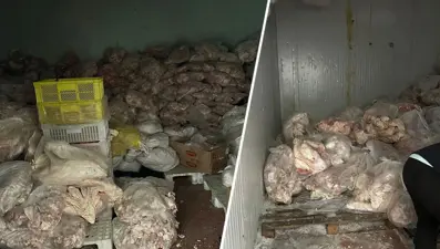 Gıda deposunda mide bulandıran görüntüler