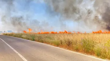 Tekirdağ’da 250 dönüm buğday yandı