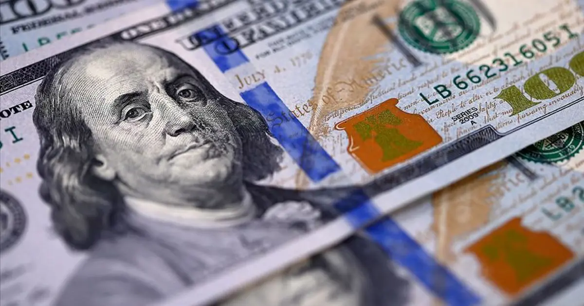 Türkiye'ye UDY girişi artıyor