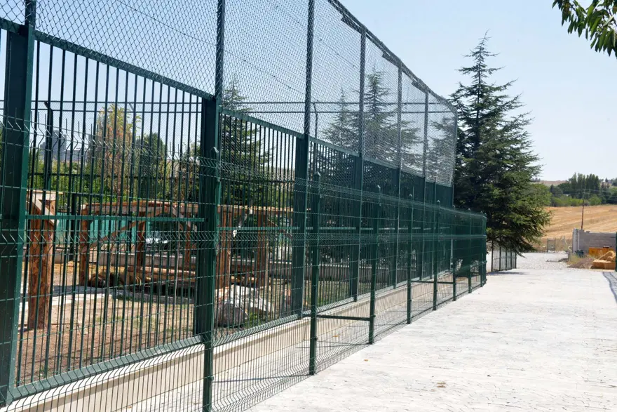 Ankara'da mahalle arası hayvanat bahçesi: Komşular kükremelerden rahatsız 1