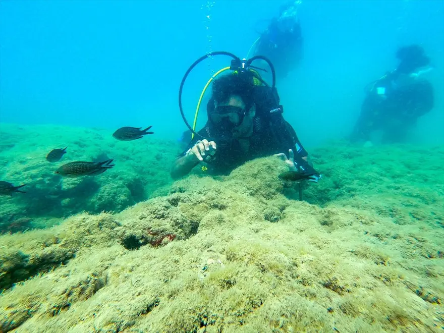 Doğu Akdeniz su altı zenginliğiyle dalış tutkunlarını cezbediyor 1