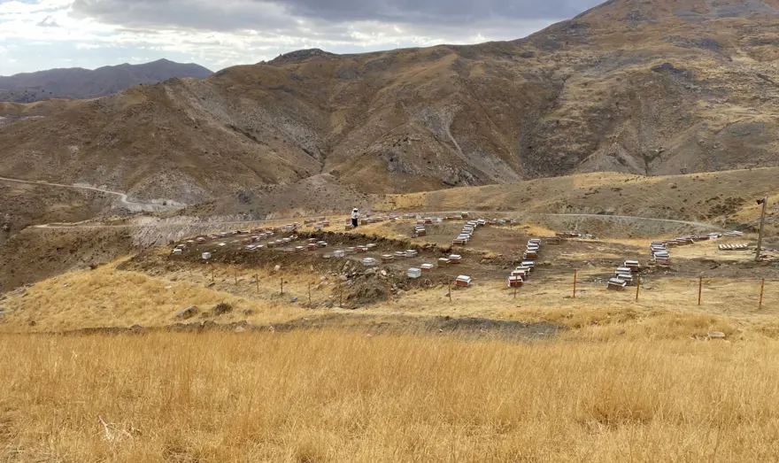 8 yıl önce başladı, 30'dan 300'e çıkardı: Şimdi 4 ton üretiyor 8