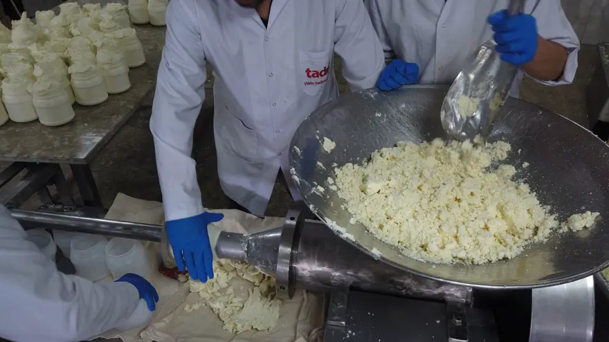 Tescilli Erzincan tulum peynirinin yayladan sofraya yolculuğu 6