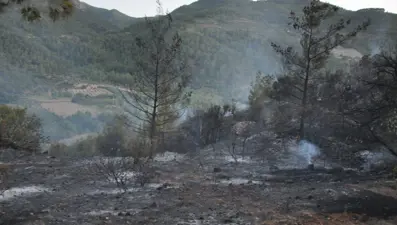 Mersin'de 4 noktada orman yangını çıkardılar, birbirlerini suçladılar