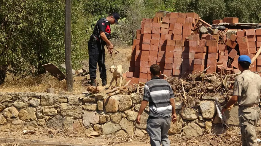 Mersin Gülnar'da orman yangını 24 Mersin Gülnar'da orman yangını 24