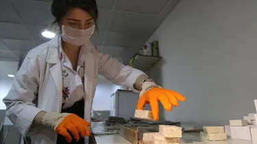 Şanlıurfa isotundan sabun yapıldı