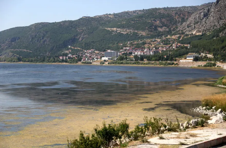 Eğirdir Gölü'nde korkutan görüntü: Battaniye gibi kapladı, çok tehlikeli! 5