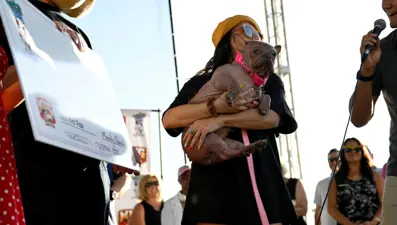 Dünyanın en çirkin köpeği: Sahibine 5 bin dolar kazandırdı