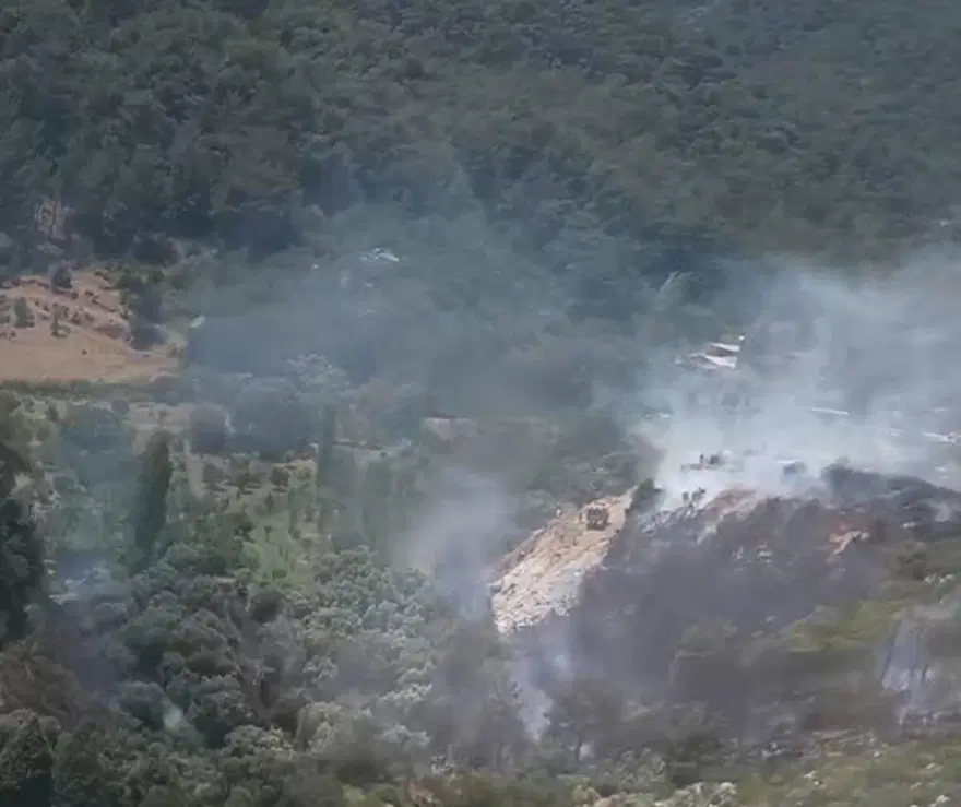 İzmir'de orman yangını 4