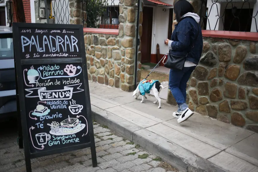 Dünyanın ilk köpek restoranı Bolivya'da açıldı 3